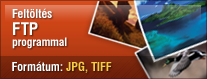 Feltlts FTP programmal