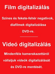 Digitalizls